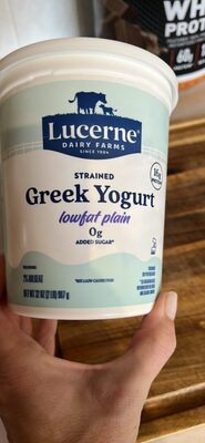 Greek Yogurt lowfat plain