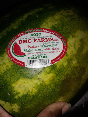 Watermelons - Seedless