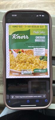 CHEDDAR BROCCOLI Spiral Pasta with Broccoli in a Cheesy Cheddar Sauce