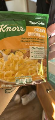 Fettuccine in a Creamy Chicken Flavored Sauce