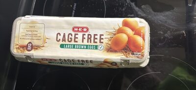 Cage Free Large Brown Eggs