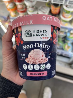 non dairy ice cream