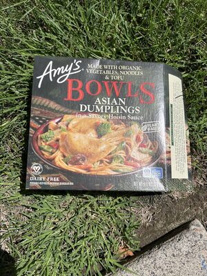 Asian dumplings in a savory hoisin sauce bowls