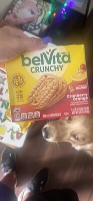 Cranberry Orange Breakfast Biscuits