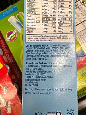 Organic Kids Strawberry Lowfat Yogurt Tube