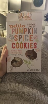 Petite Pumpkin Spice Cookies