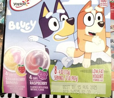 Yoplait Kids Raspberry/Strawberry Banana Variety Pack 8 Count