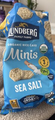 Organic Rice Cake Minis Sea Salt