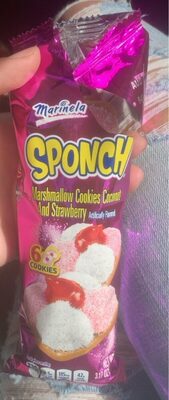 Sponch