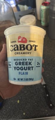 Reduced Fat Greek Yogurt Plain