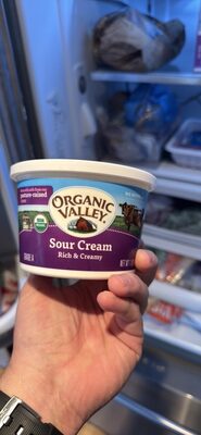 Sour Cream Rich & Creamy