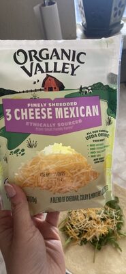 3 Cheese Mexican