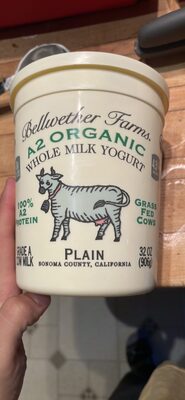 A2 Organic Whole Milk Yogurt Plain
