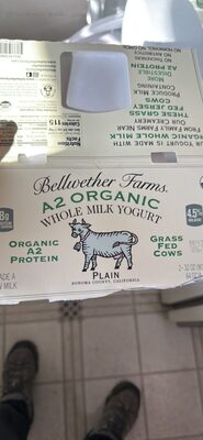 WHOLE MILK YOGURT PLAIN