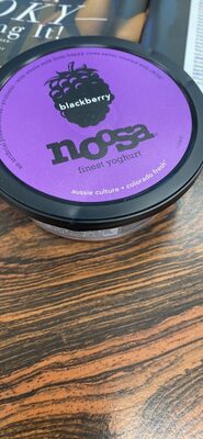Blueberry Noosa Yogurt