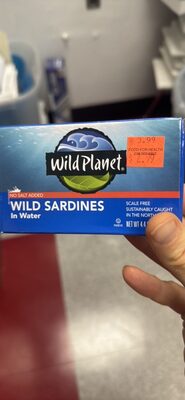 WILD SARDINES In Water