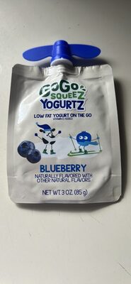 Blueberry Low Fat Yogurt on the Go