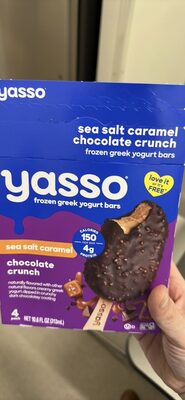 sea salt caramel chocolate crunch frozen greek yogurt bars