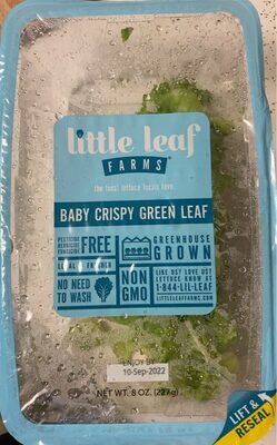 Baby crispy green leaf