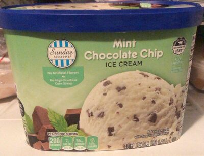 Mint Chocolate Chip Ice Cream