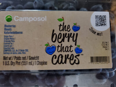 Blueberries