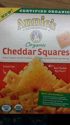 Annies hmgrwn org bkd snck crackers chdr squares