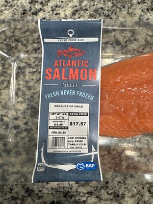 Atlantic Salmon
