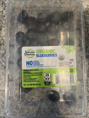 Blue Berries