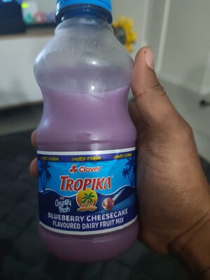 Blueberry Cheesecake Flavoured Dairy Fruit Mix