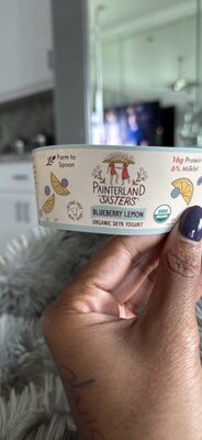 BLUEBERRY LEMON ORGANIC SKYR YOGURT