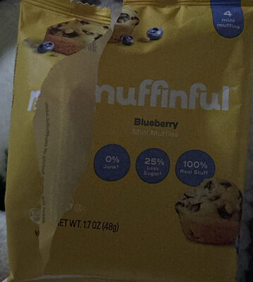 Blueberry Mini Muffins