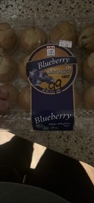 Blueberry Mini Muffins