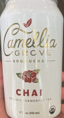 Chai Kombucha