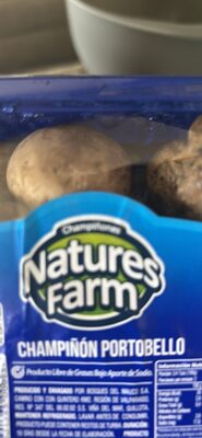 CHAMPIÑÓN PORTOBELLO