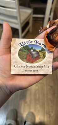 Chicken Noodle Soup Mix