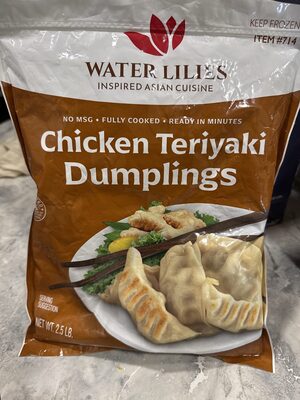 Chicken Teriyaki Dumplings