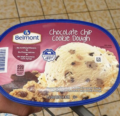 Chocolate Chip Cookie Dough Ice Cream