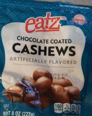Chocolate covered cashews