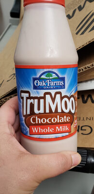 Chocolate whole milk