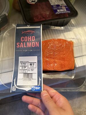 Coho Salmon