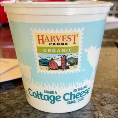Cottage Cheese