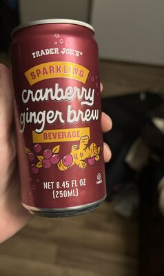 Cranberry ginger brew