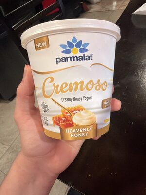 Creamy Honey Yogurt