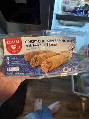 Crispy Chicken Spring Rolls
