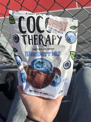 Dark Chocolate Covered Blueberries