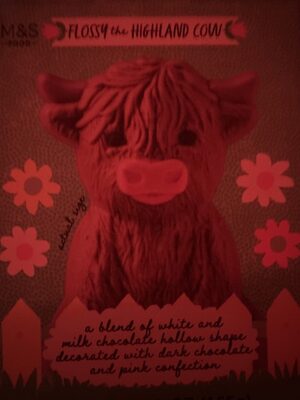 Flossy The Highland Cow