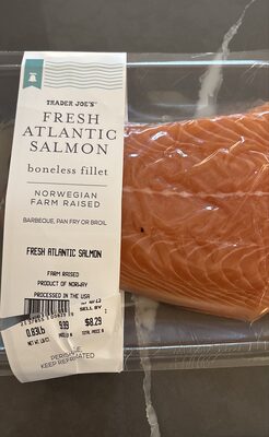 Fresh Salmon