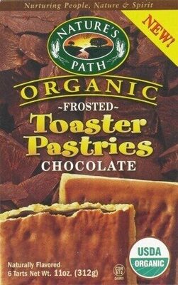 Frosted Lotta Chocolotta Toaster Pastries