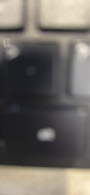 Grass Fed Beef Sirloin