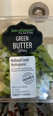 Green Butter Lettuce